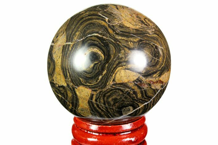 Polished Stromatolite (Greysonia) Sphere - Bolivia #113547